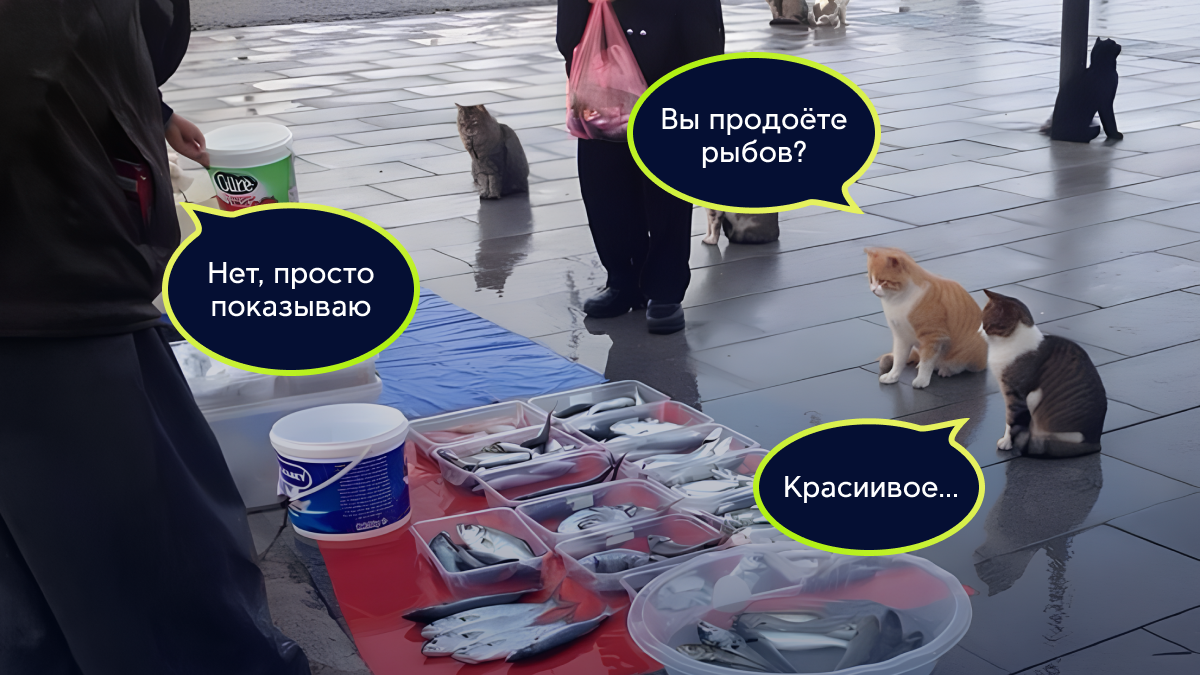 «Давай, покупай!»: как создать востребованный интернет-магазин